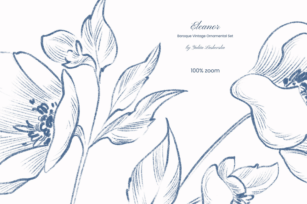 Baroque Vintage Ornamental set, a Decorative Illustration by Yuliia Lashevska (Photo 7 of 19)