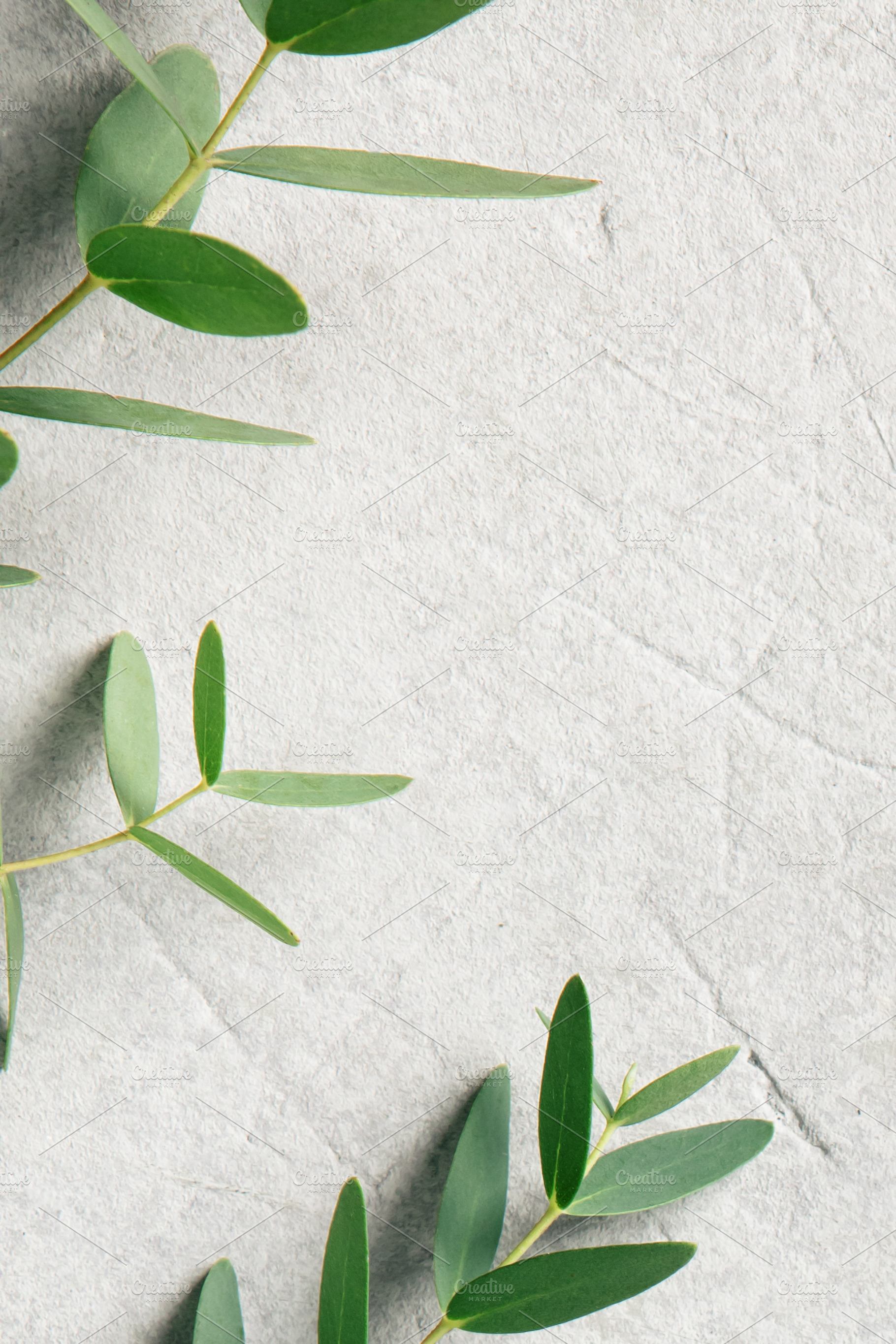 Minimal Greenery on Concrete for Natural Background, an Abstract Photo by Natalia Klenova's Shop