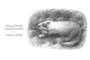 Cute Animals Collection, an Animal Illustration by Mazheika Store (Thumbnail 9 of 9)