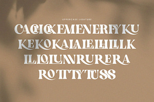 English Island Ligature Serif Font