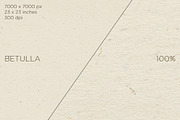 10 Macro High-Res Paper Textures, a Texture Graphic by measyn (Thumbnail 6 of 11)