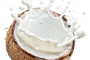 Coconut milk flying out from coconut, a Food & Drink Photo by Volff