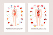 Human internal organs illustration, a Healthcare Illustration by Neliakott ♥ (Thumbnail 4 of 7)