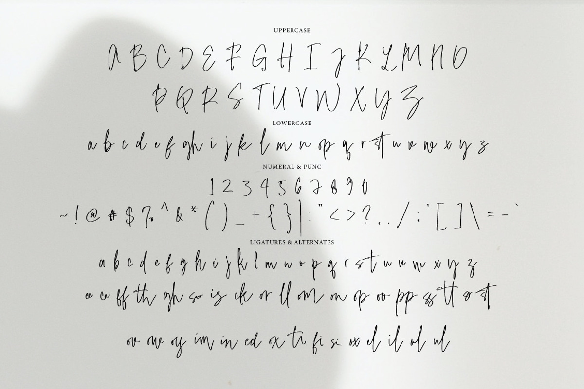 Dolce Miele - Casual Signature, a Font by tebaltipislab (Photo 8 of 10)