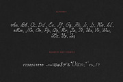 Ink Ribbon | Elegant Whimsy Font, a Script Font by Ashiya Pixel (Thumbnail 15 of 16)