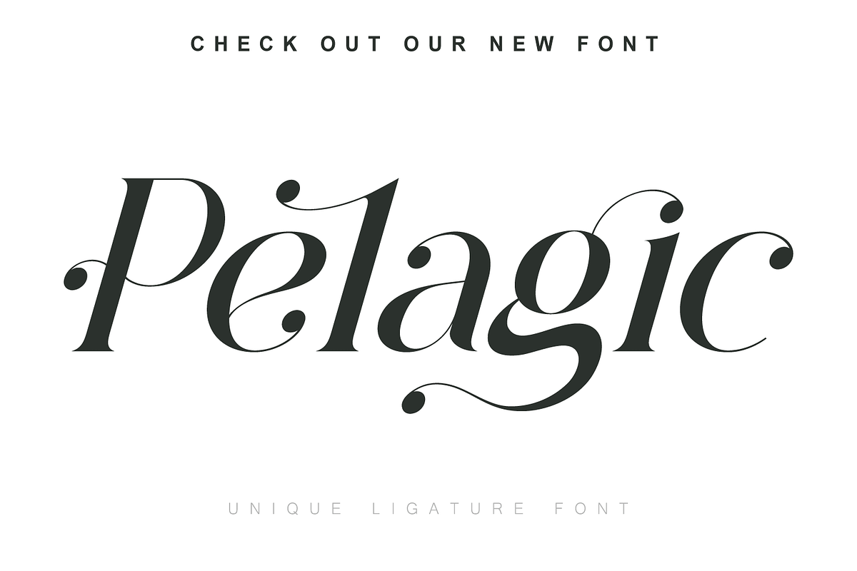 Histeagin Serif, a Serif Font by Yahya Type (Photo 21 of 25)