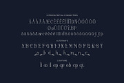 Moonlife - Serif Typeface Font, a Serif Font by Rishsketch (Thumbnail 14 of 15)