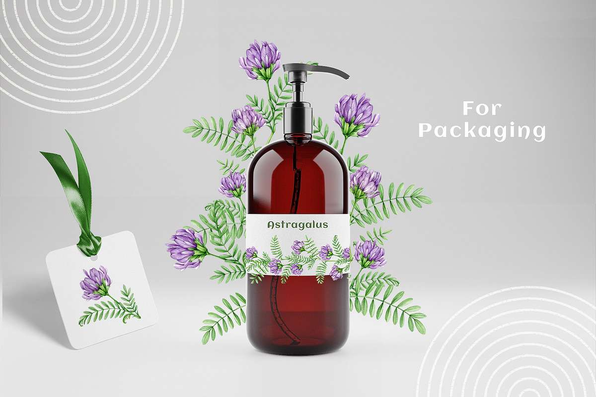 Adaptogenic Medicinal Plant Clipart, a Healthcare Illustration by AnitaPol (Photo 23 of 24)