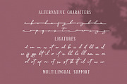 Sparkling Bright - Beauty Font Duo, a Serif Font by Dm Studio (Thumbnail 7 of 10)