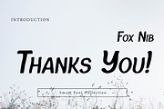 Fox Nib, a Serif Font by Wow Magic (Thumbnail 3 of 3)