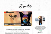 Breviter Pro - handcrafted WP theme, a WordPress Template by designhooks (Thumbnail 3 of 3)