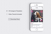 Pets Instagram Templates, a Social Media Template by Jaisivakumar (Thumbnail 4 of 6)