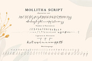 Mollitha, a Script Font by Ardyanatypes (Thumbnail 6 of 10)