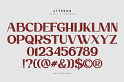 Atteron-Elegant Serif Font, a Serif Font by din-studio.com (Thumbnail 9 of 16)