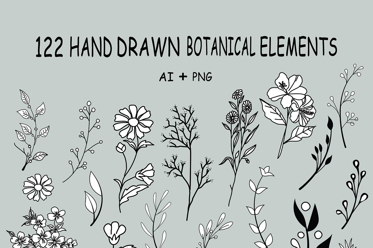 Hand Drawn Botanical Elements, a Decorative Illustration by Pixavics (Photo 9 of 11)