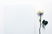 White Roses Stock Mockup, a Print Template by littleprince (Thumbnail 5 of 6)