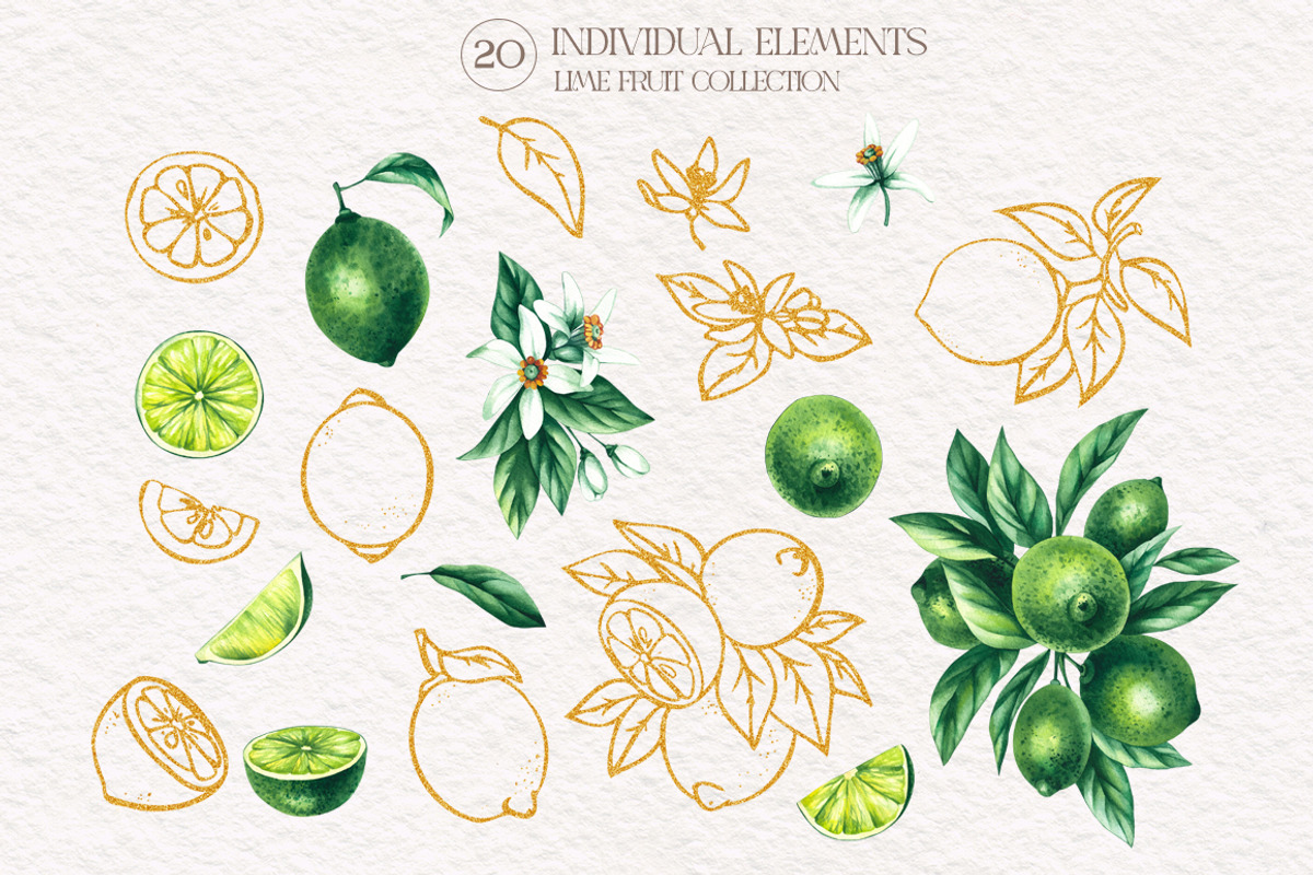 Lime Watercolor Collection, a Food Illustration by SashaKondr (Photo 13 of 15)