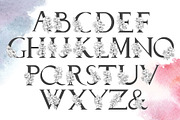 Roses line art design, an Object Graphic by Vera●Suleimanova (Thumbnail 11 of 17)