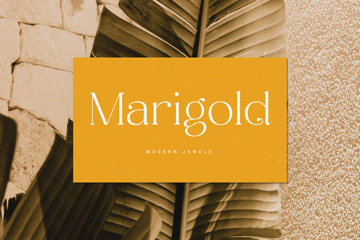 Cherla – Chic Serif Font, a Serif Font by Prioritype Co (Photo 5 of 11)