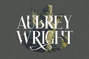 Athina - Modern Serif, a Serif Font by Rillatype (Thumbnail 2 of 10)