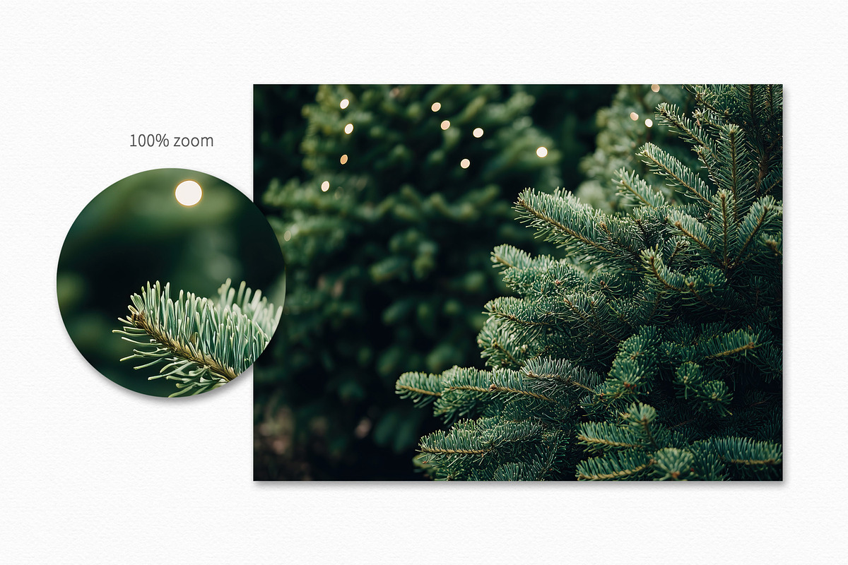 Christmas Farm Backdrops, a Holiday Photo by rileyBgraphics (Photo 6 of 6)