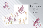 Watercolor Octopus Life Cycle Set, an Education Illustration by MayaNavits (Thumbnail 2 of 7)
