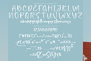 Blissful Christmas, a Handwritten Font by Integritype Studio (Thumbnail 13 of 15)