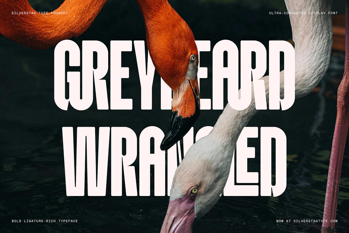 Knolt – Bold Ultra-Condensed Font, a Sans Serif Font by SilverStag Type Foundry (Photo 6 of 20)