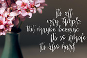 Dynamic Love | Calligraphy Script, a Script Font by StoricType (Thumbnail 15 of 17)