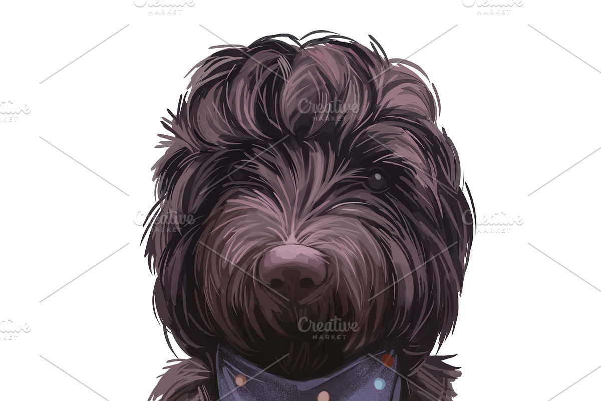 100 Dog Breeds Popular in UK, an Illustration by Dneprstock (Photo 4 of 4)