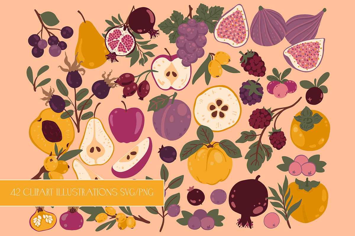 Botanical fruit clipart & frames, a Food Illustration by Carpet Tapete Pretzel (Photo 2 of 11)