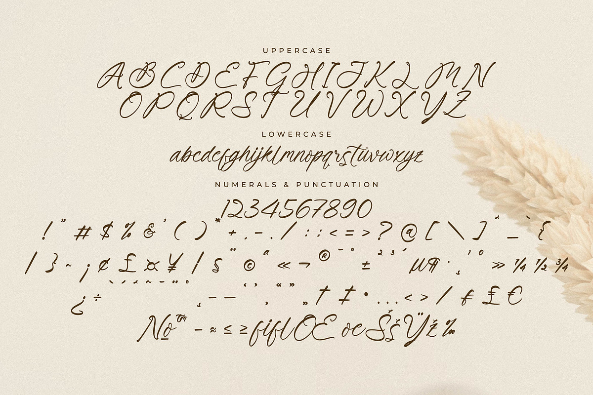 Primrose Essentials Font Duo, a Serif Font by Storytype Studio (Photo 11 of 15)