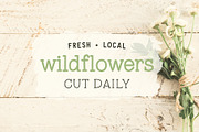 Tupelo Honey | A Charming Slab Serif, a Slab Serif Font by One Twenty Studio (Thumbnail 4 of 9)