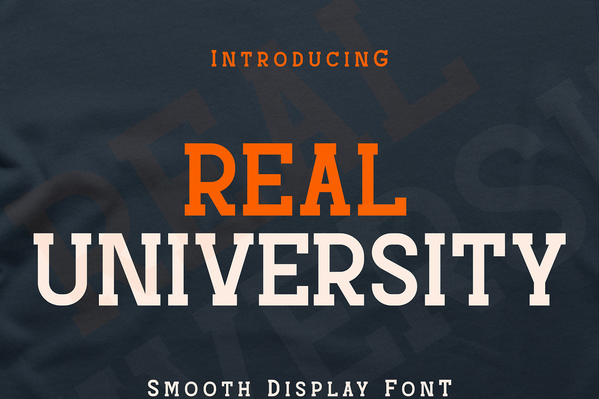 Real University, a Slab Serif Font by MaxArt (Photo 1 of 10)
