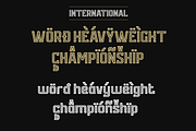 UNDISPUTED FONT DUO, a Serif Font by Alphabet Agency (Thumbnail 7 of 9)
