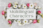 Ammira | A Modern and Elegant Serif, a Serif Font by Andrimada Creative (Thumbnail 5 of 13)