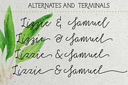 50% OFF Salt & Spices Mono, a Script Font by Fontforecast (Thumbnail 9 of 13)