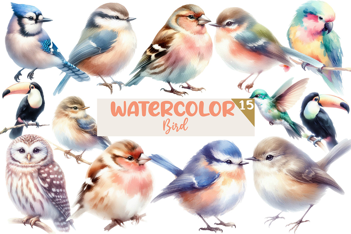 Watercolor Bird clipart, an Illustration by Designworld (Photo 1 of 5)