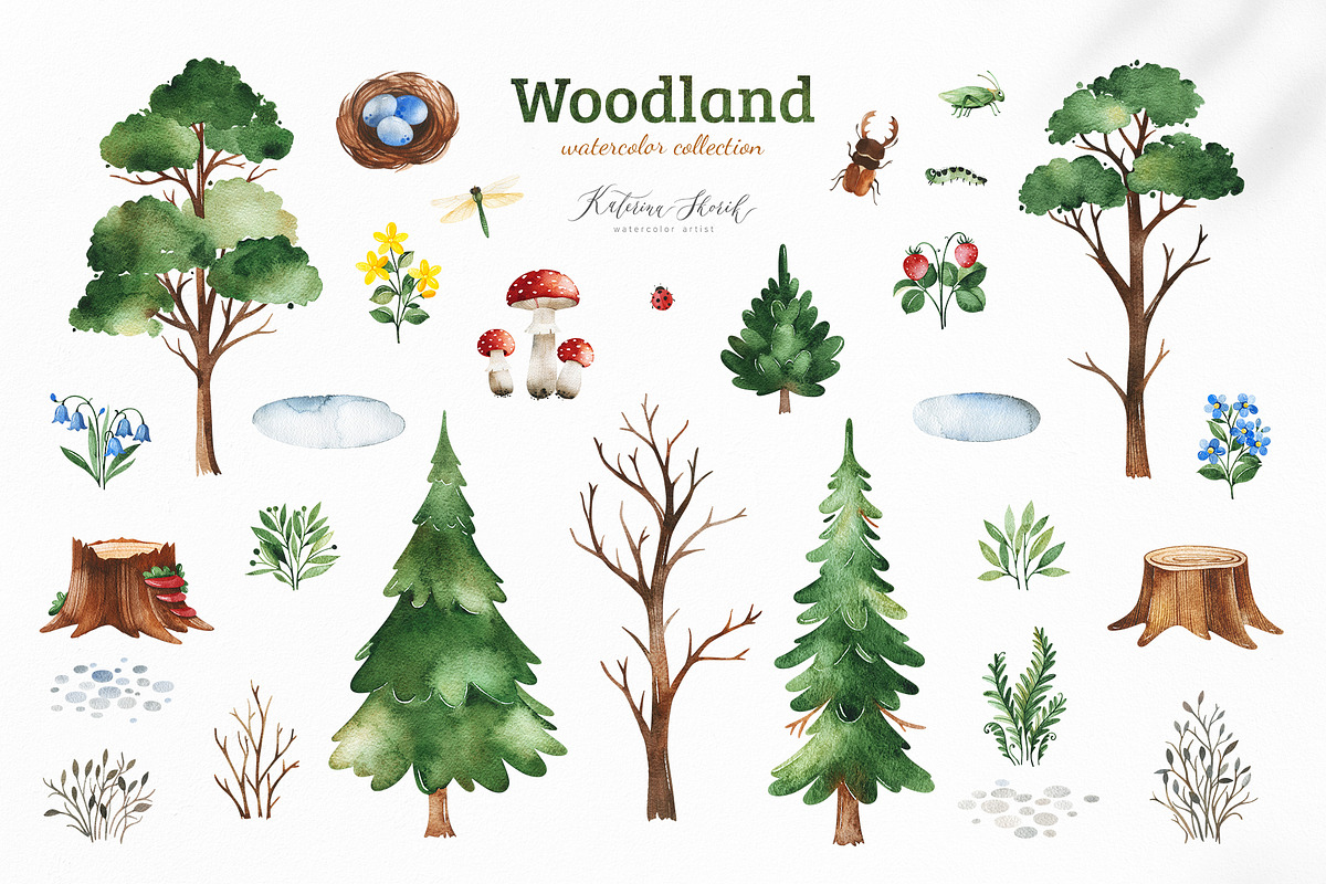 Woodland. Cute forest collection., an Animal Illustration by Kate_Rina (Photo 6 of 15)