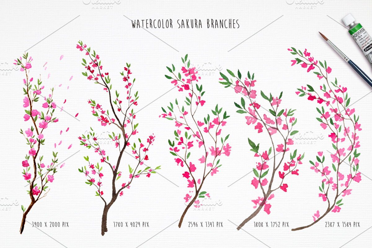 Sakura. Riot of Cherry blossom., a Decorative Illustration by AlexGreenArt (Photo 5 of 7)