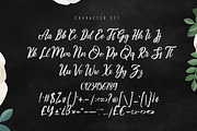 Asttuty Beauty Script Font, a Script Font by skiiller studio (Thumbnail 6 of 8)
