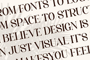 Rogale - Stylish Serif Font, a Serif Font by Aqeel_Art (Thumbnail 11 of 12)
