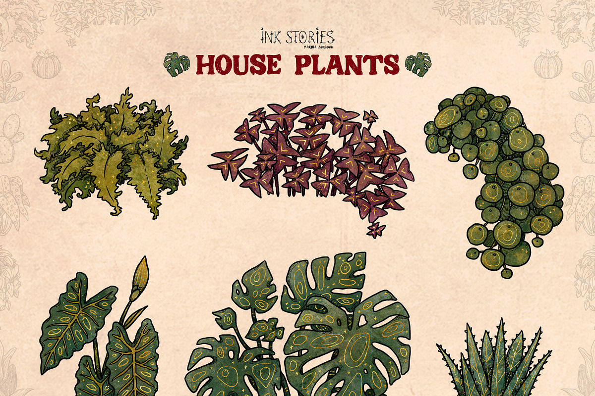 House Plants, an Object Illustration by Ink Stories (Photo 8 of 23)