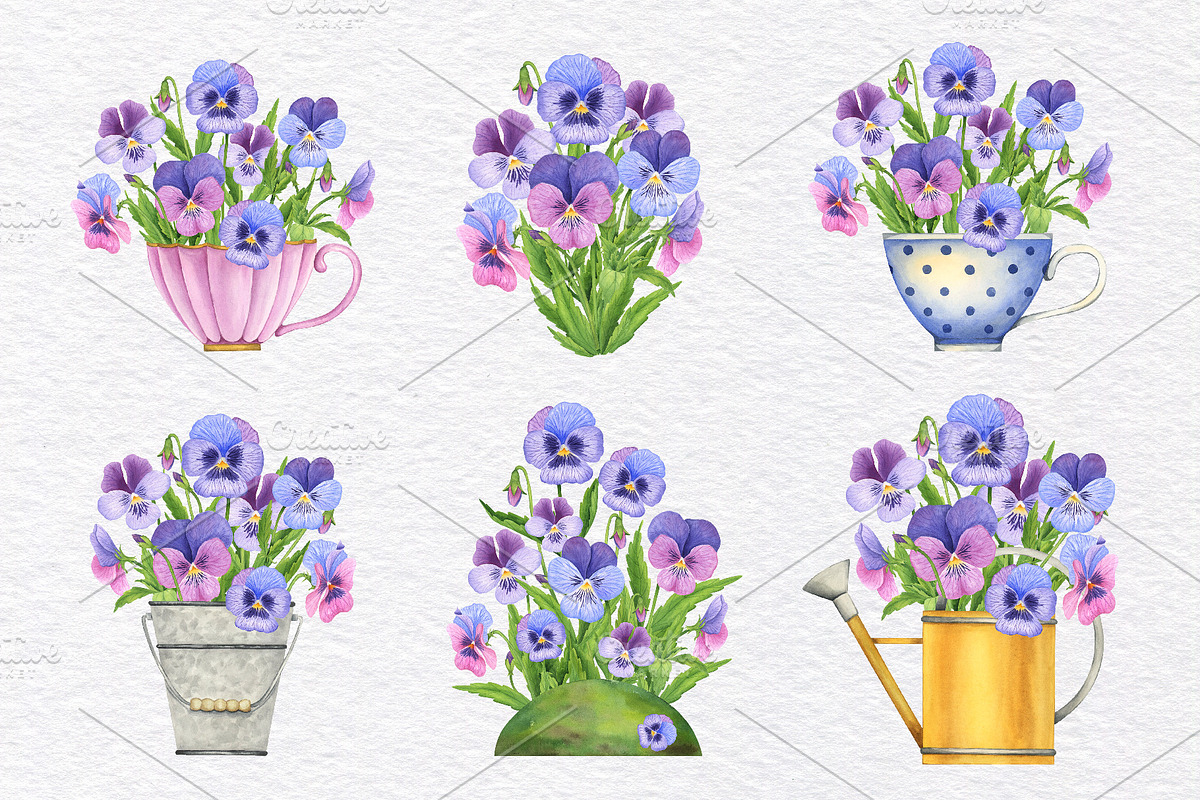 Pansy Watercolor Hand drawn set, a Decorative Illustration by KathrineWatercolor (Photo 4 of 9)