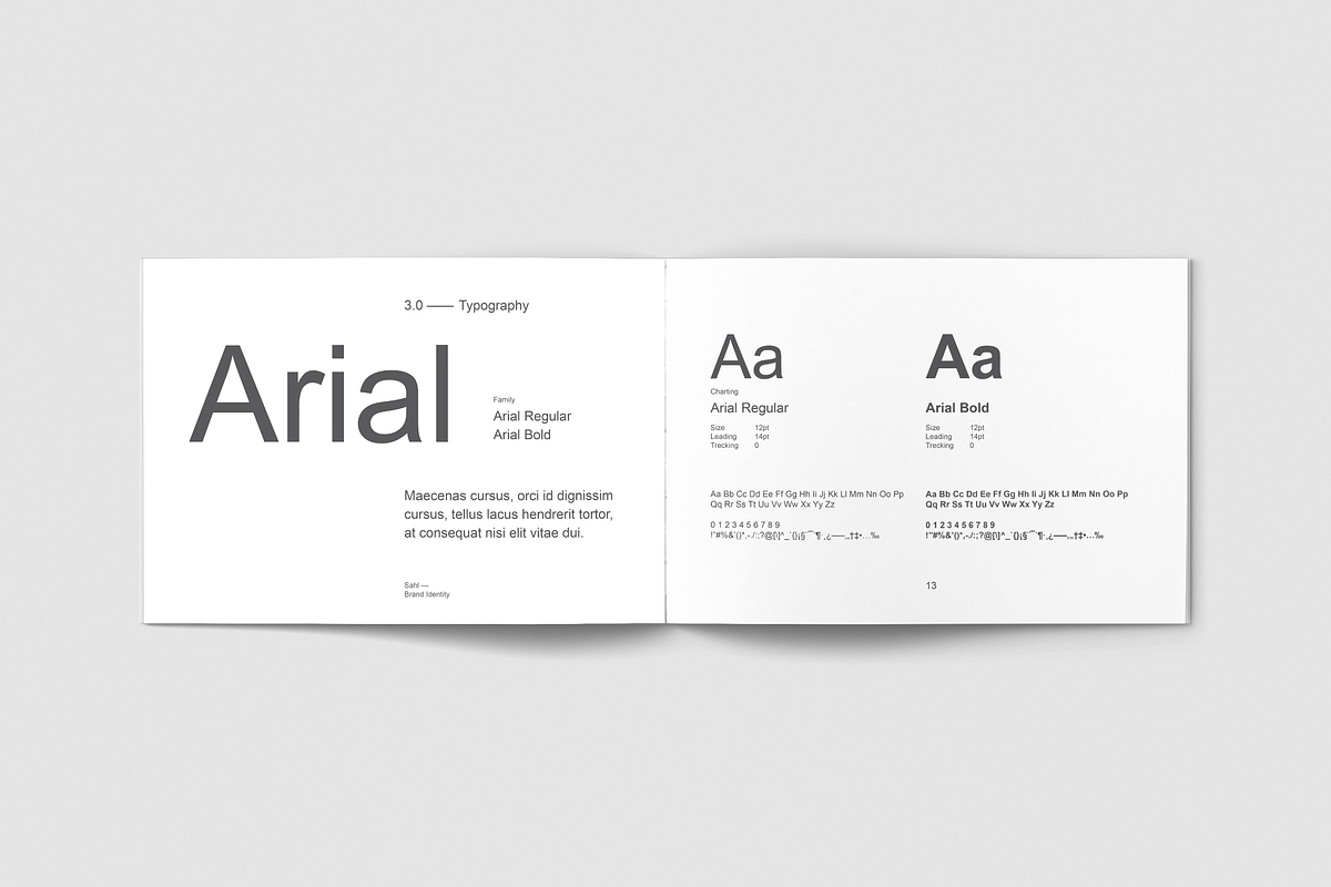 Visual Identity Guidelines, a Brochure Template by BOXKAYU (Photo 6 of 10)