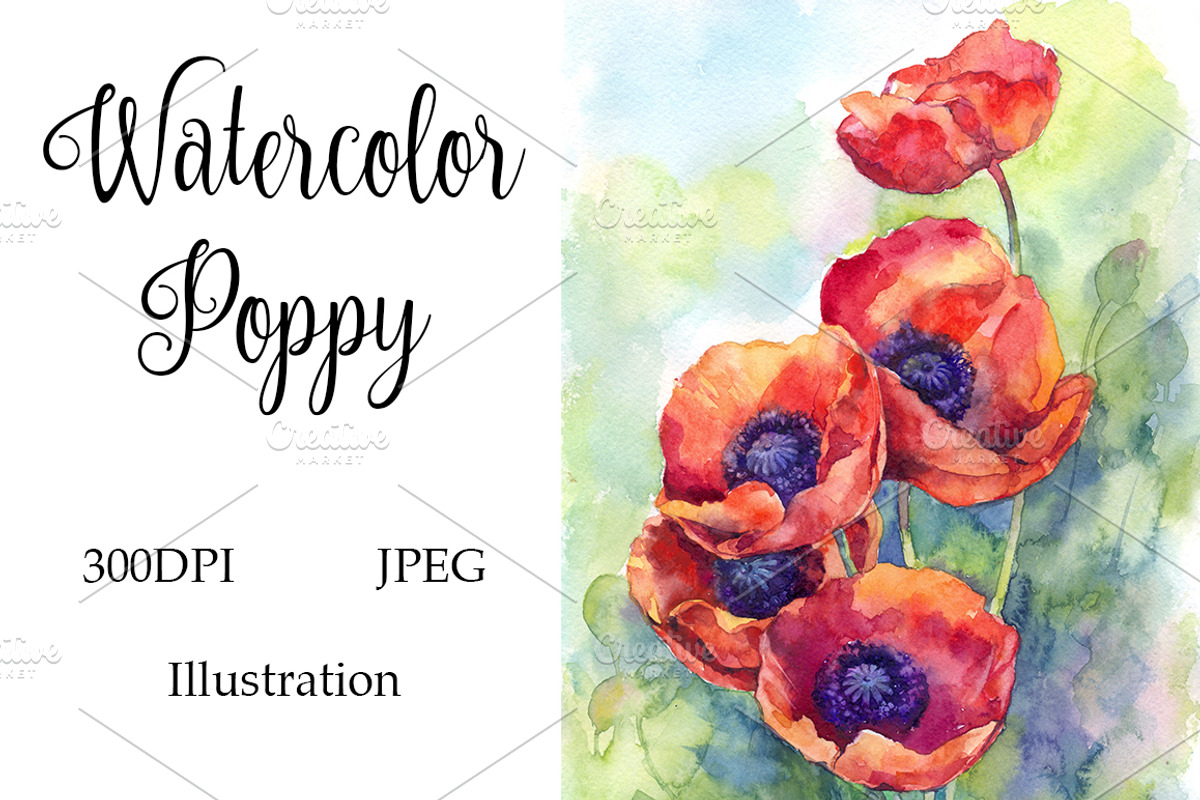 Watercolor Poppies Flowers Art, a Decorative Illustration by MaryAmi (Photo 1 of 3)