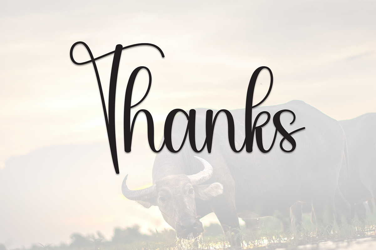 Buffalo | Script Font, a Handwritten Font by Scratchones (Photo 9 of 9)