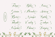 GLOWING ROMANCE — Luxury Calligraphy, a Script Font by Enxyclo Studio (Thumbnail 21 of 22)
