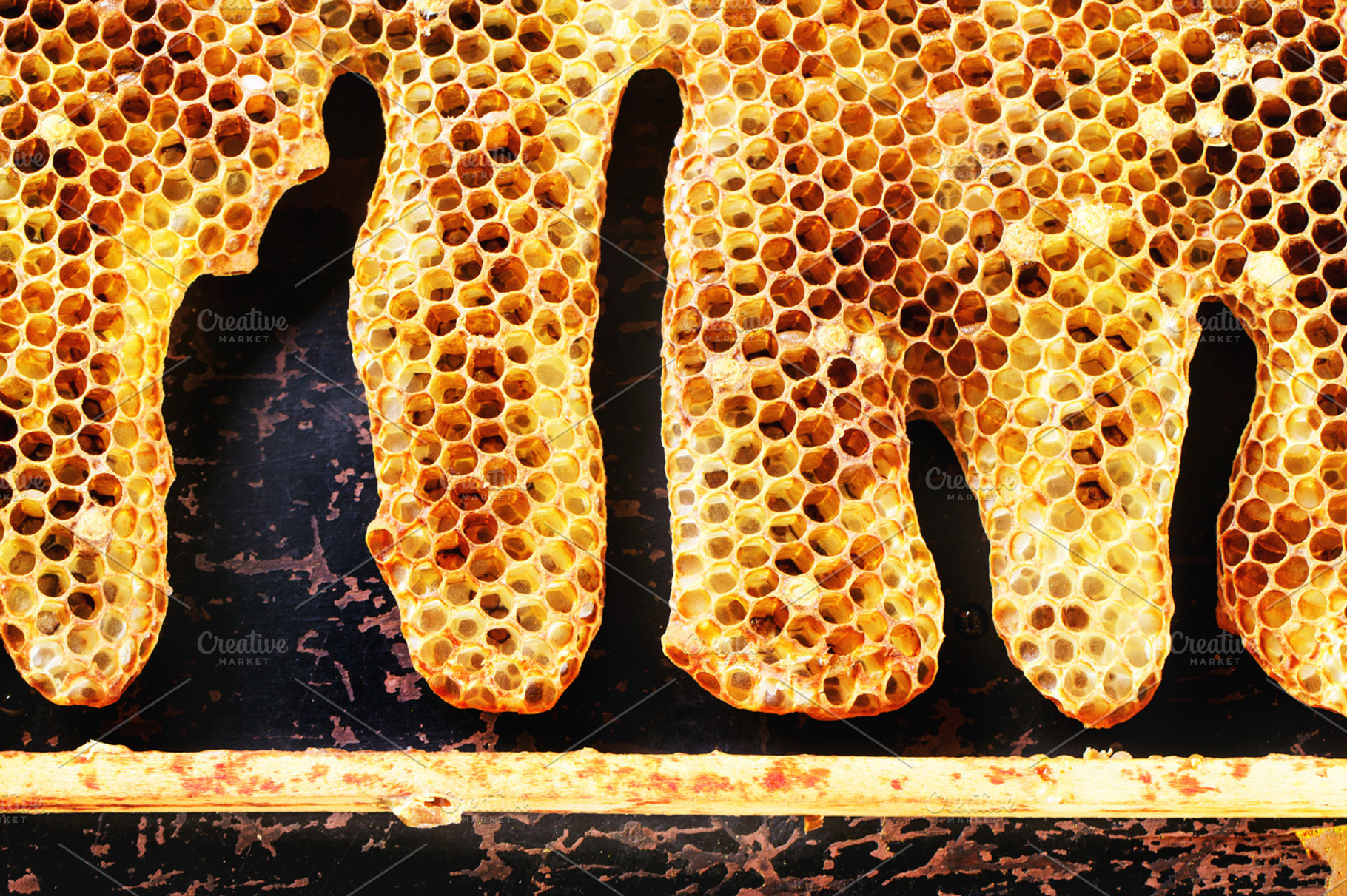 Honeycombs featuring honeycomb, honey, and background