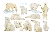 Watercolor Polar Bears Clipart, an Object Graphic by ArtGiftsStudio (Thumbnail 2 of 5)